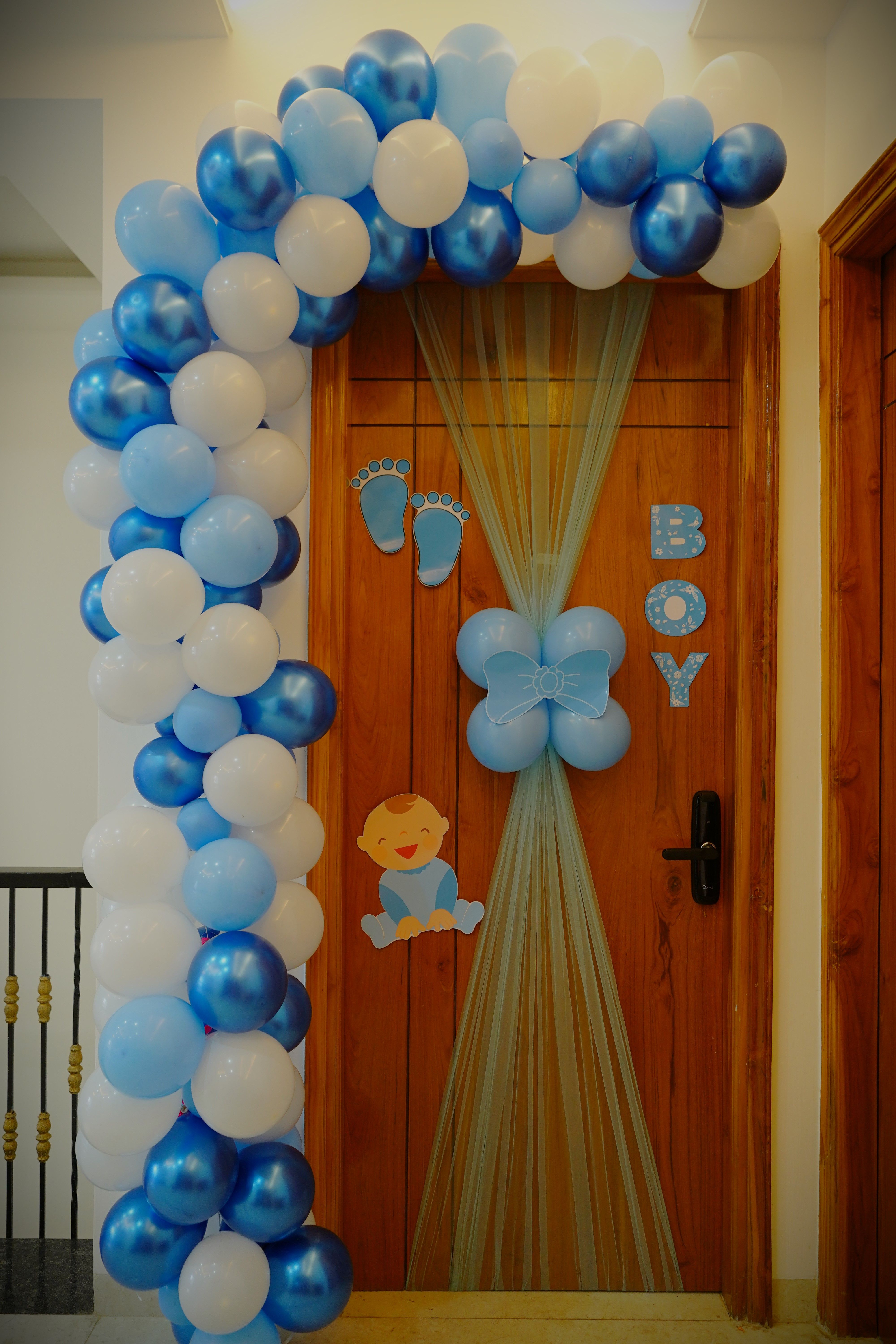 Baby Boy Entry Gate
